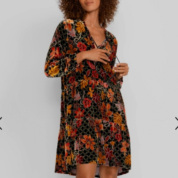 JOHNNY WAS JASMOON FLORE VELVET/SILK FIELD TIERED DRESS SIZE L BNWOT - Picture 2 of 14